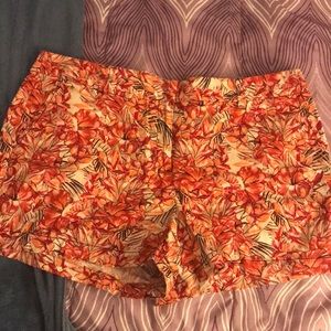 Ann Taylor Loft size 14 shorts